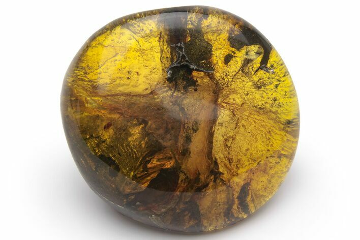 Polished Chiapas Amber ( grams) - Mexico #237426